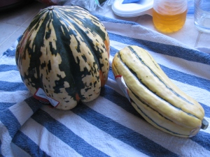 Two types of winter squash